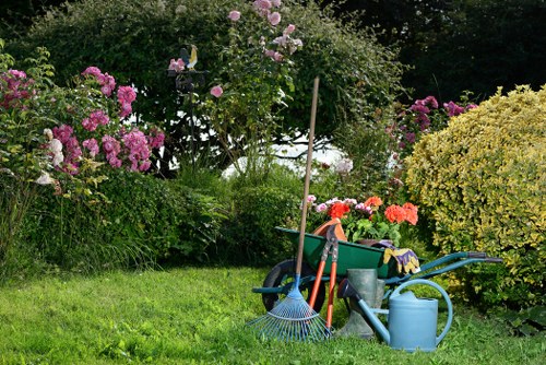 Photo of a gardener assessing a garden before work begins