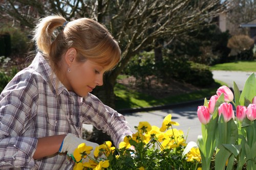 Gardener Stratford advising on garden planning and seasonal care